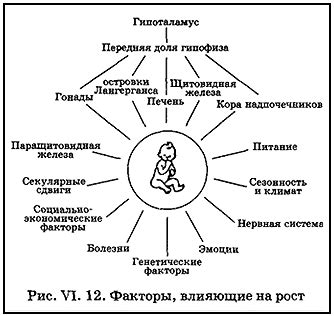 Наследственность и генетические факторы, влияющие на количество щенков у алабая в первый раз