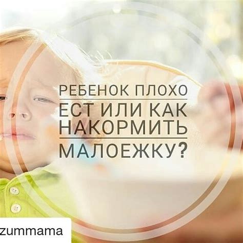 Насыщение прикормом