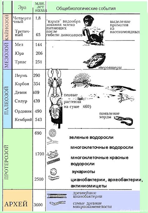 Начало ремесленной эры