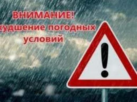 Неблагоприятные погодные условия во время цветения