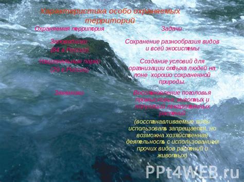 Негативные последствия пенистой воды для окружающей среды