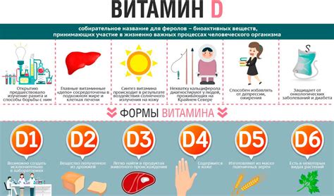 Недостаток витамина К в организме собаки может увеличить риск кровотечения при стрижке когтей