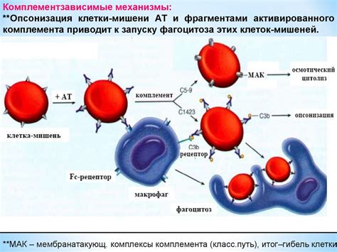 Нейрологические механизмы защитной реакции