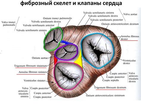 Некачественные реверсы и клапаны