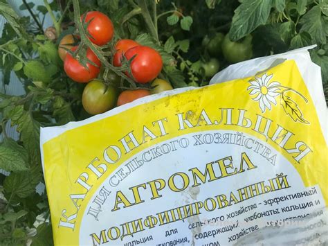 Неправильная подкормка