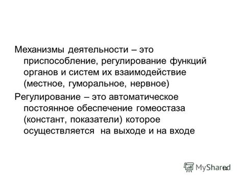 Нервное регулирование