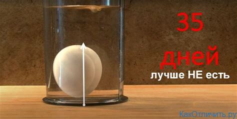 Несвежее яйцо