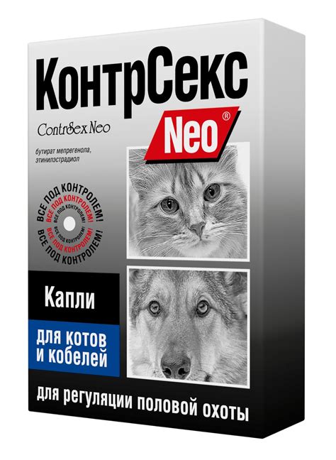 Нос - особая зона для котов