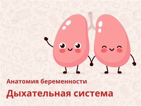 Обогащение организма