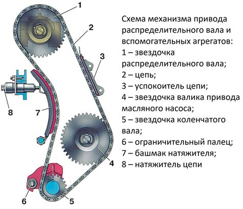 Обрыв цепи находится перед автоматом