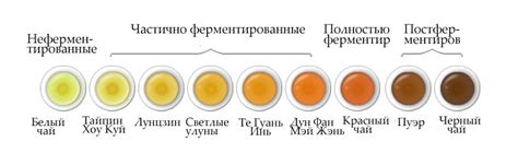 Окисление и ферментация
