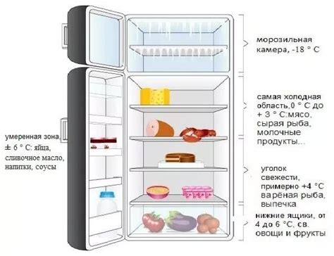 Оптимальная температура хранения отвара чаги в холодильнике