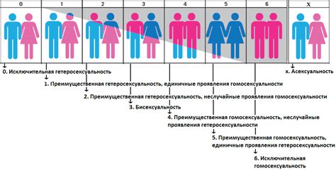 Ориентация на сексуальную привлекательность