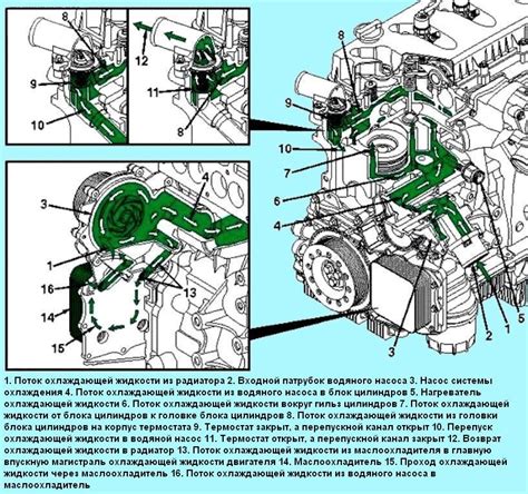 Особенности системы охлаждения Газель Некст
