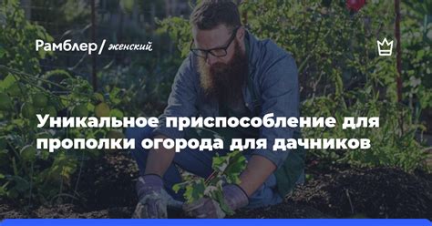 Оценка стоимости прополки огорода вручную
