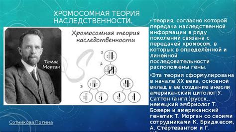 Передача наследственности