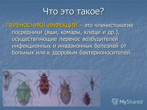 Перенос болезней и инфекций