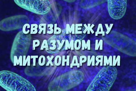 Перенос энергии жизни