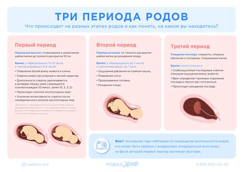 Период после родов и растянутые связки