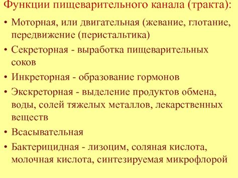 Перистальтика пищеварительного тракта