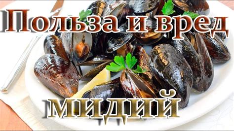 Питание и диета мидий