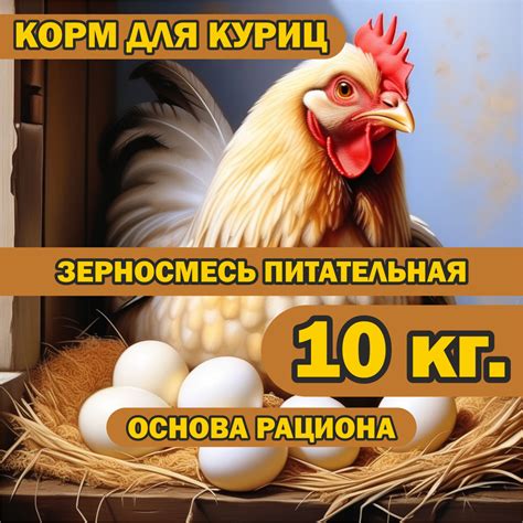 Питание куриц для профилактики синего гребня