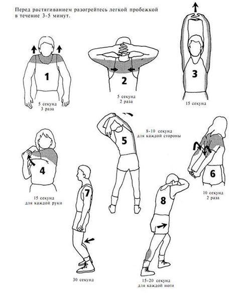Платные и бесплатные способы растяжки рук