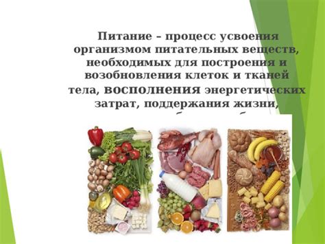 Плохое питание и недостаток необходимых веществ
