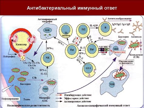 Подавленный иммунитет и заболевания