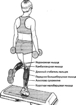 Подъем правой ноги