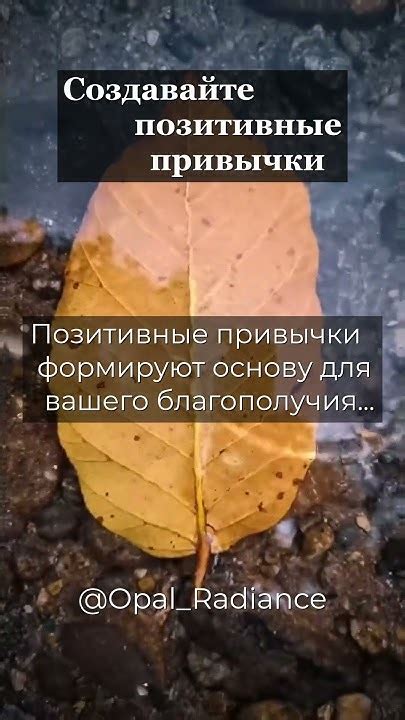 Позитивные стороны привычки