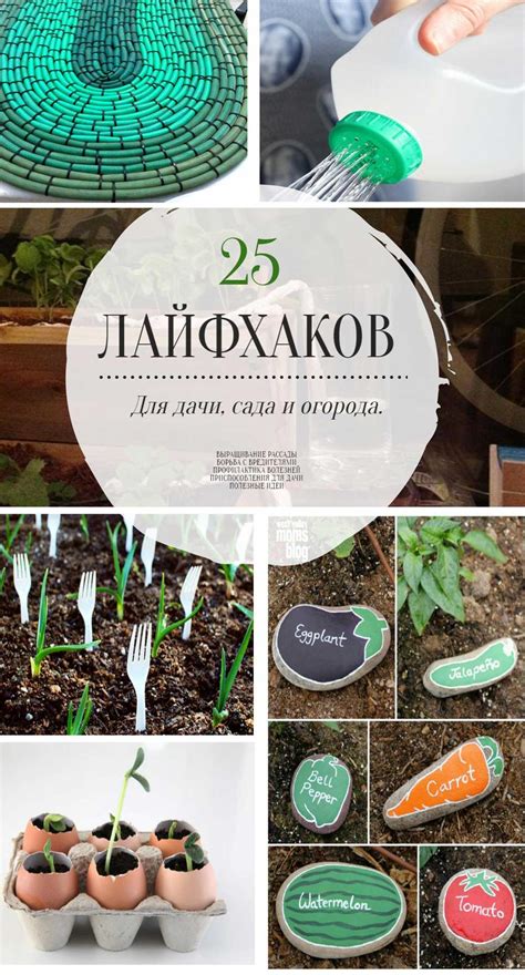 Полезные советы для прополки огорода вручную