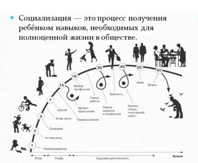Положительное влияние дополнительных элементов ухода на толстянку