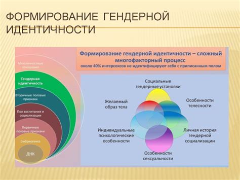 Понятие гендерной идентичности