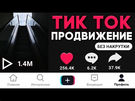 Популярность Арине Савастру в Тик Токе