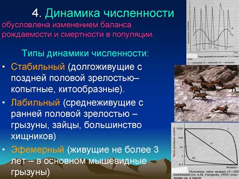 Популяционная динамика и сведения о численности