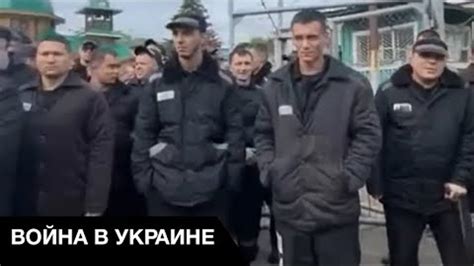 Попытки Кемаля оправдаться и получить помилование