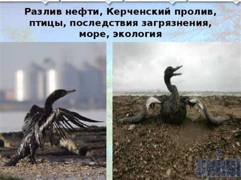 Последствия эксплуатации в повышенной загрязненной среде