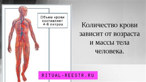 Потеря крови и сон