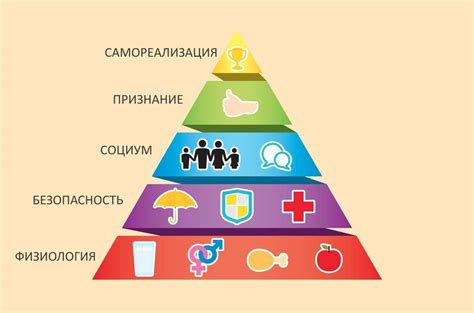 Потребности сфинксов: пищевая и физиологическая