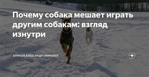 Почему изнутри все сжимается