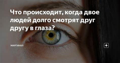 Почему люди смотрят друг другу в глаза