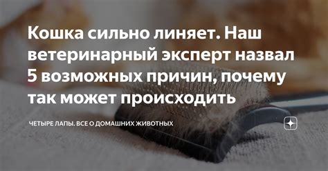 Почему может происходить