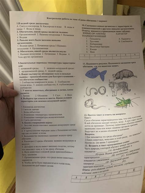 Почему у животных, обитающих в почве, маленькие глаза