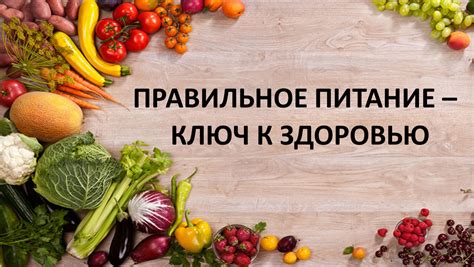 Правильное питание: ключ к успеху
