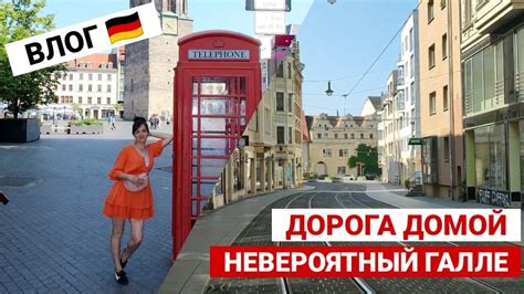 Привычка галок собираться в стаи