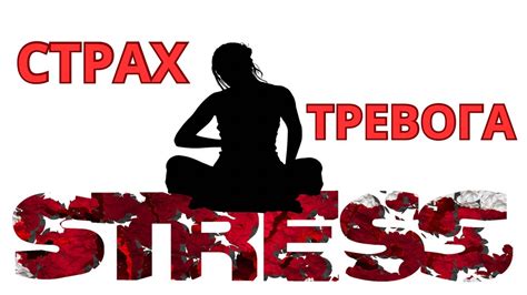 Причина №3: Стресс и тревога
