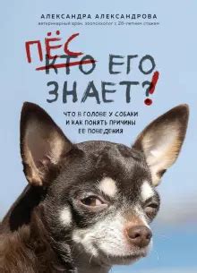 Причины воющего поведения собаки