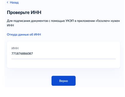 Причины невозможности скачать файл с госуслуг