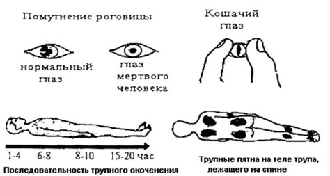Причины слез при смерти человека